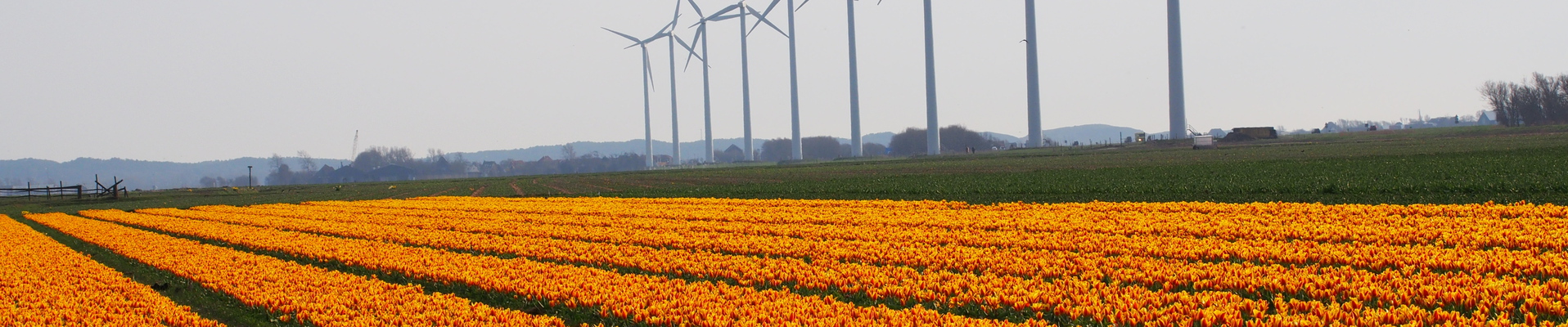Noord-Hollandpad