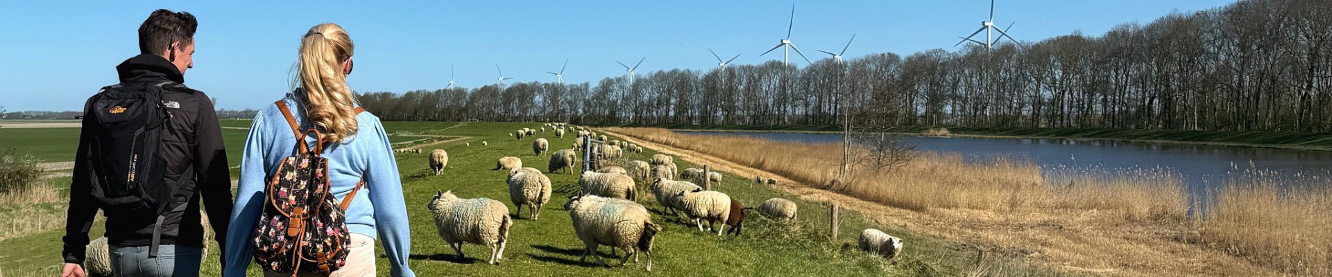 Noord-Hollandpad