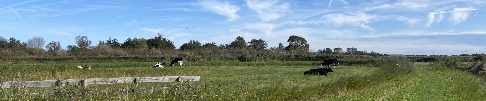 Noord-Hollandpad