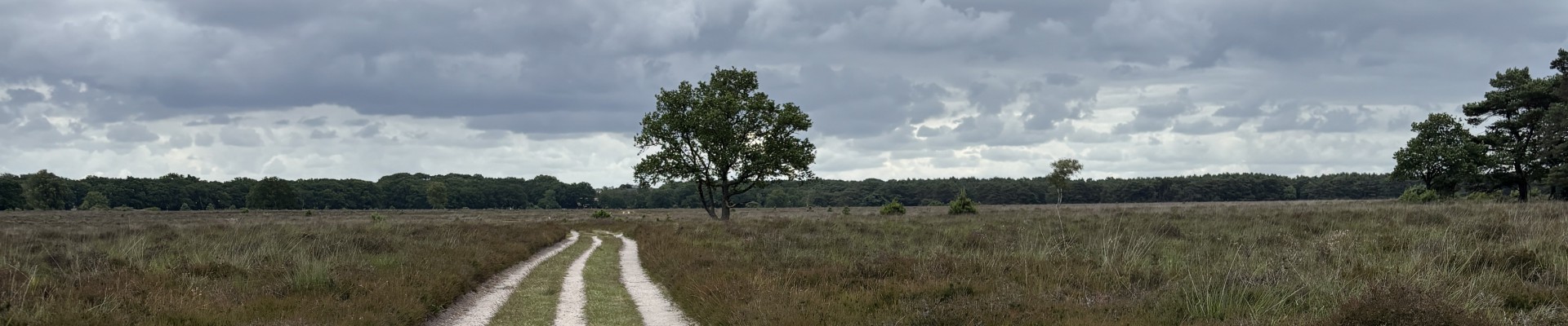 Noord-Hollandpad