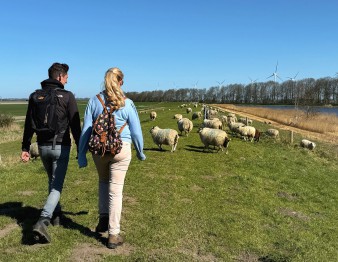 Lekker lunchen bij Brambergen