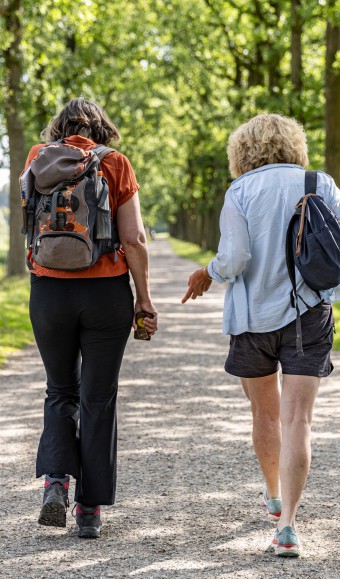 Wandelgids