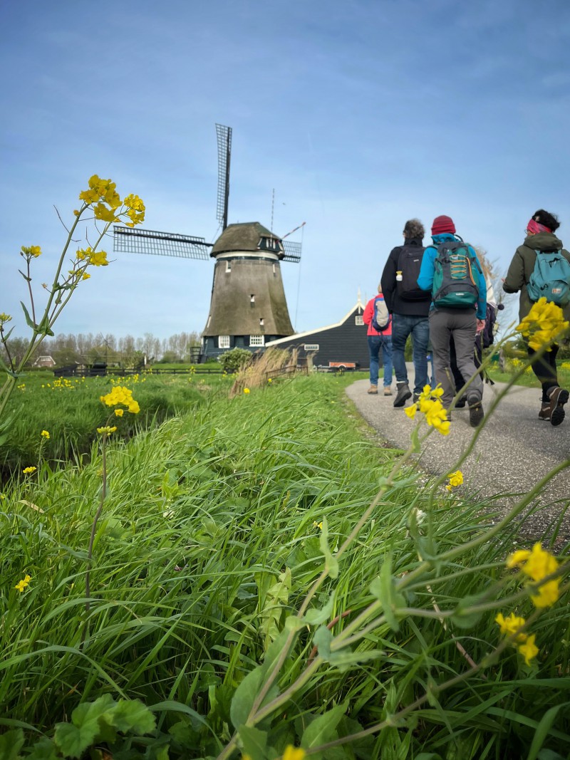 Op weg naar de eerste molen