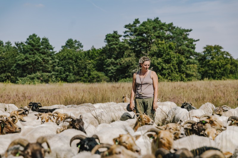 Etappe 16 Rozenn en haar schapen