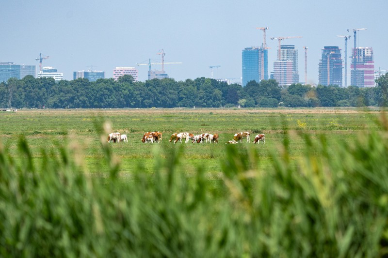 Uitzicht vanaf Fort_Jasmijn Fotografeert