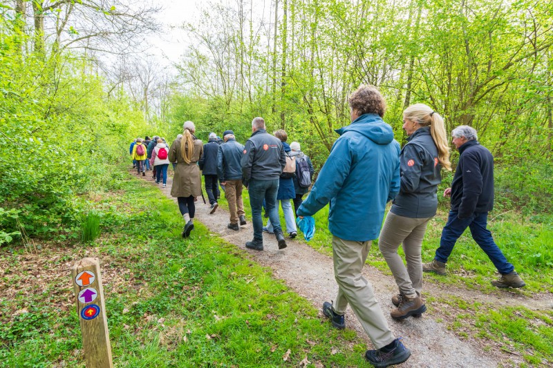 Wandelen met bestuurders