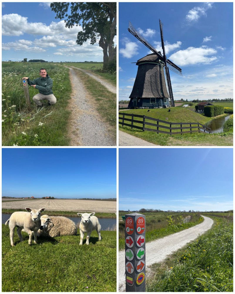 Compilatie Roan